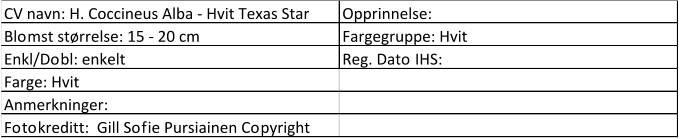 CV navn: H. Coccineus Alba - Hvit Texas Star Opprinnelse:  Blomst størrelse: 15 - 20 cm Fargegruppe: Hvit Enkl/Dobl: enkelt Reg. Dato IHS:  Farge: Hvit Anmerkninger:  Fotokreditt:  Gill Sofie Pursiainen Copyright
