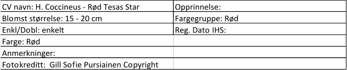 CV navn: H. Coccineus - Rød Tesas Star Opprinnelse:  Blomst størrelse: 15 - 20 cm Fargegruppe: Rød Enkl/Dobl: enkelt Reg. Dato IHS:  Farge: Rød Anmerkninger:  Fotokreditt:  Gill Sofie Pursiainen Copyright