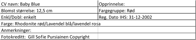 CV navn: Baby Blue Opprinnelse:  Blomst størrelse: 12,5 cm Fargegruppe: Rød Enkl/Dobl: enkelt Reg. Dato IHS: 31-12-2002 Farge: Rhodonite rød/Lavendel blå/lavendel rosa Anmerkninger: Fotokreditt:  Gill Sofie Pursiainen Copyright