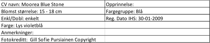 CV navn: Moorea Blue Stone Opprinnelse:  Blomst størrelse: 15 - 18 cm Fargegruppe: Blå Enkl/Dobl: enkelt Reg. Dato IHS: 30-01-2009 Farge: Lys violetblå Anmerkninger: Fotokreditt:  Gill Sofie Pursiainen Copyright