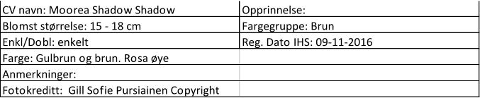 CV navn: Moorea Shadow Shadow Opprinnelse:  Blomst størrelse: 15 - 18 cm Fargegruppe: Brun Enkl/Dobl: enkelt Reg. Dato IHS: 09-11-2016 Farge: Gulbrun og brun. Rosa øye Anmerkninger: Fotokreditt:  Gill Sofie Pursiainen Copyright