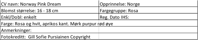 CV navn: Norway Pink Dream Opprinnelse: Norge Blomst størrelse: 16 - 18 cm Fargegruppe: Rosa Enkl/Dobl: enkelt Reg. Dato IHS:  Farge: Rosa og hvit, aprikos kant. Mørk purpur rød øye Anmerkninger: Fotokreditt:  Gill Sofie Pursiainen Copyright