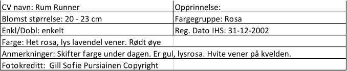 CV navn: Rum Runner Opprinnelse:  Blomst størrelse: 20 - 23 cm Fargegruppe: Rosa Enkl/Dobl: enkelt Reg. Dato IHS: 31-12-2002 Farge: Het rosa, lys lavendel vener. Rødt øye Anmerkninger: Skifter farge under dagen. Er gul, lysrosa. Hvite vener på kvelden. Fotokreditt:  Gill Sofie Pursiainen Copyright