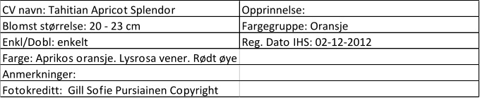 CV navn: Tahitian Apricot Splendor Opprinnelse:  Blomst størrelse: 20 - 23 cm Fargegruppe: Oransje Enkl/Dobl: enkelt Reg. Dato IHS: 02-12-2012 Farge: Aprikos oransje. Lysrosa vener. Rødt øye Anmerkninger:  Fotokreditt:  Gill Sofie Pursiainen Copyright