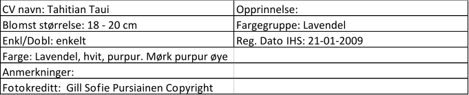 CV navn: Tahitian Taui Opprinnelse:  Blomst størrelse: 18 - 20 cm Fargegruppe: Lavendel Enkl/Dobl: enkelt Reg. Dato IHS: 21-01-2009 Farge: Lavendel, hvit, purpur. Mørk purpur øye Anmerkninger:  Fotokreditt:  Gill Sofie Pursiainen Copyright