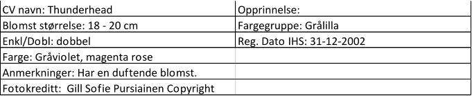 CV navn: Thunderhead Opprinnelse:  Blomst størrelse: 18 - 20 cm Fargegruppe: Grålilla Enkl/Dobl: dobbel Reg. Dato IHS: 31-12-2002 Farge: Gråviolet, magenta rose Anmerkninger: Har en duftende blomst. Fotokreditt:  Gill Sofie Pursiainen Copyright