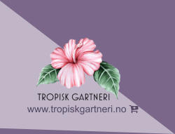 www.tropiskgartneri.no 
